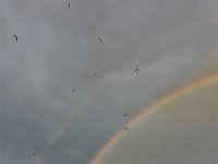 double rainbow (3)