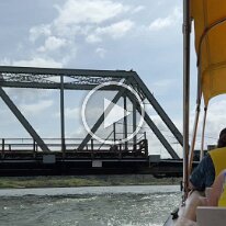 panama monkey tour (1)